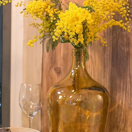 Gmimosa Sejournez Dans Un Esprit Boutique Hotel Marseilles Exterior foto