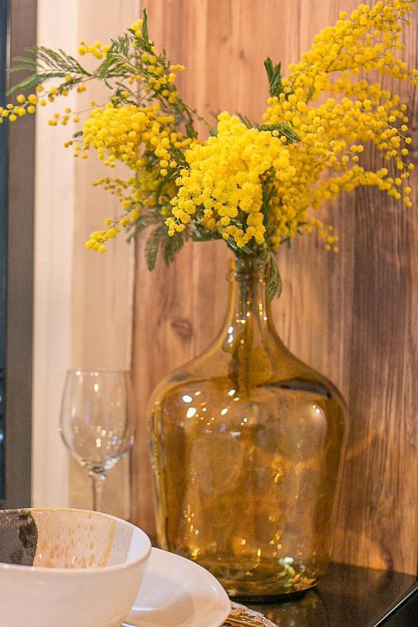 Gmimosa Séjournez Dans Un Esprit Boutique Appartement